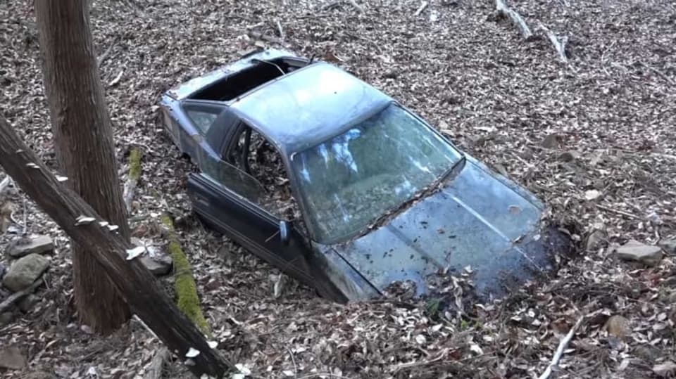 Tajemnou Supru našli uprostřed lesa po 25 letech